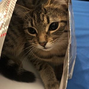 Meet your Posher, Kaitlin